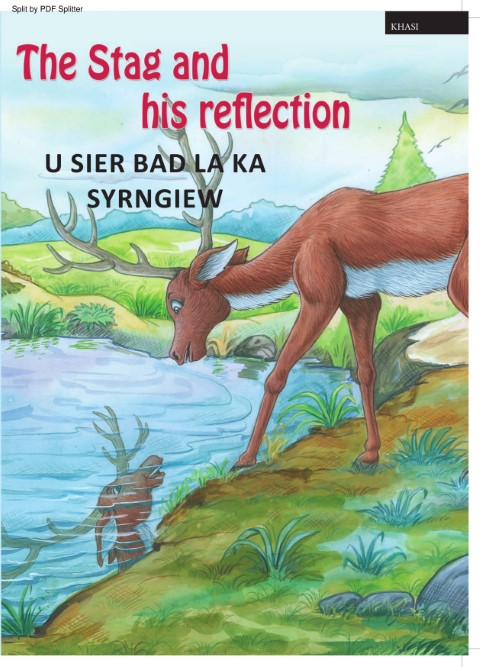 The Stag and his reflection